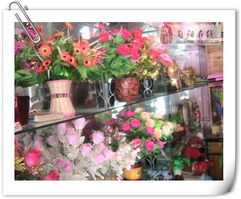 旬阳花之园 花卉世界的精品探秘